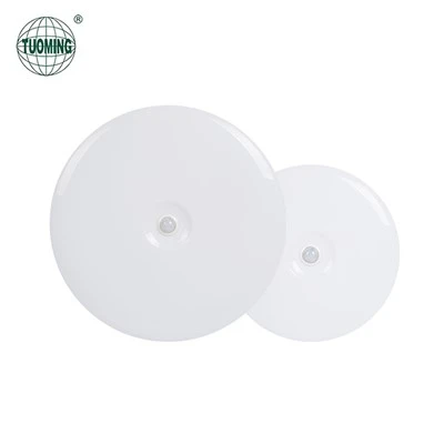 Sensor Veranda Loftslampe